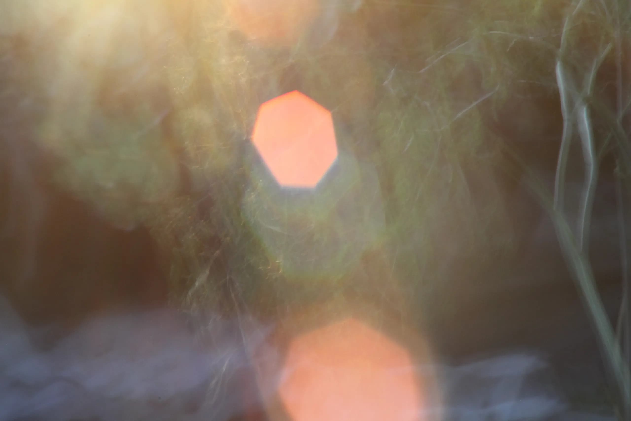 Abstract sunlight and flare seen through water droplets.