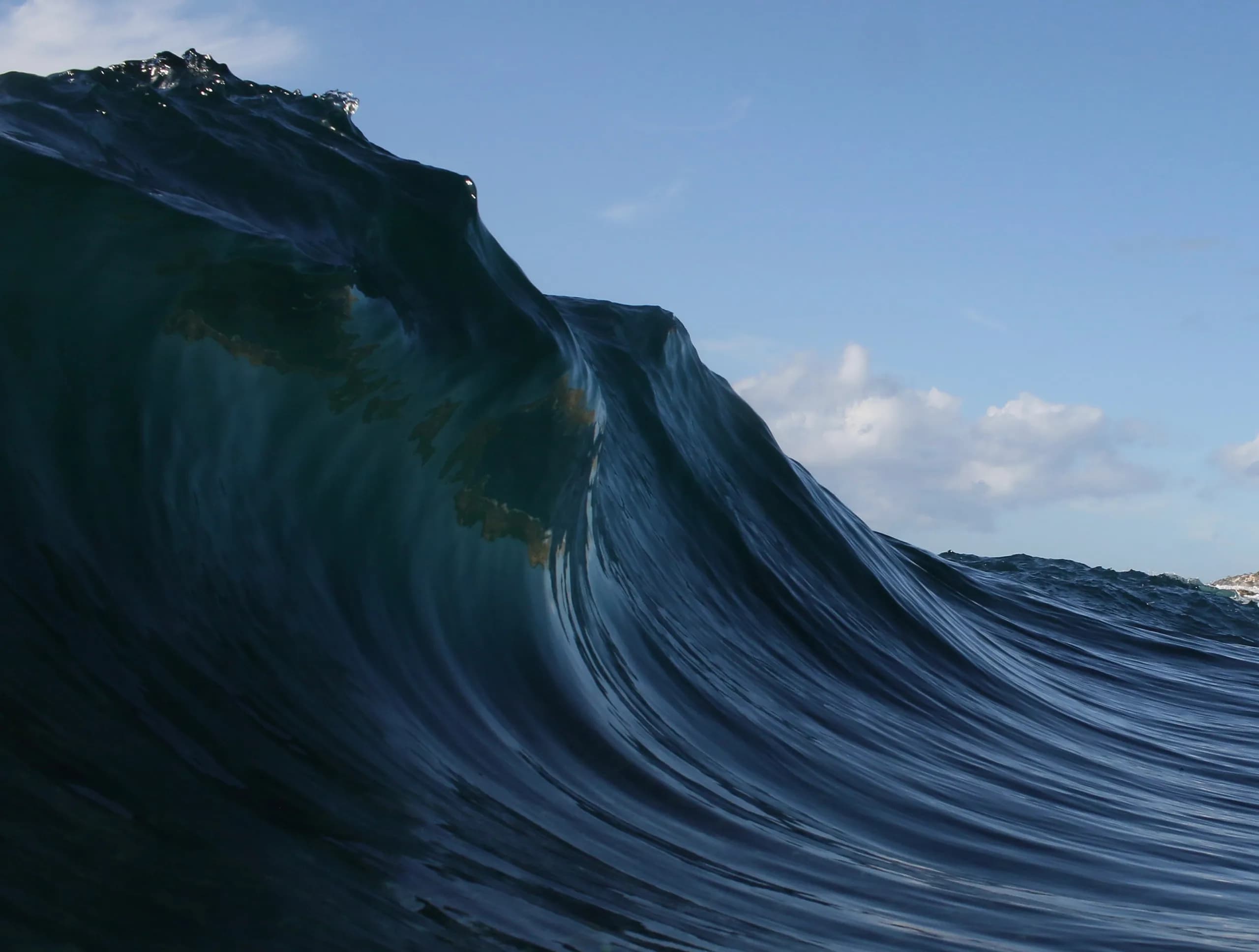 A dark blue wave rising against a pale coastal sky.